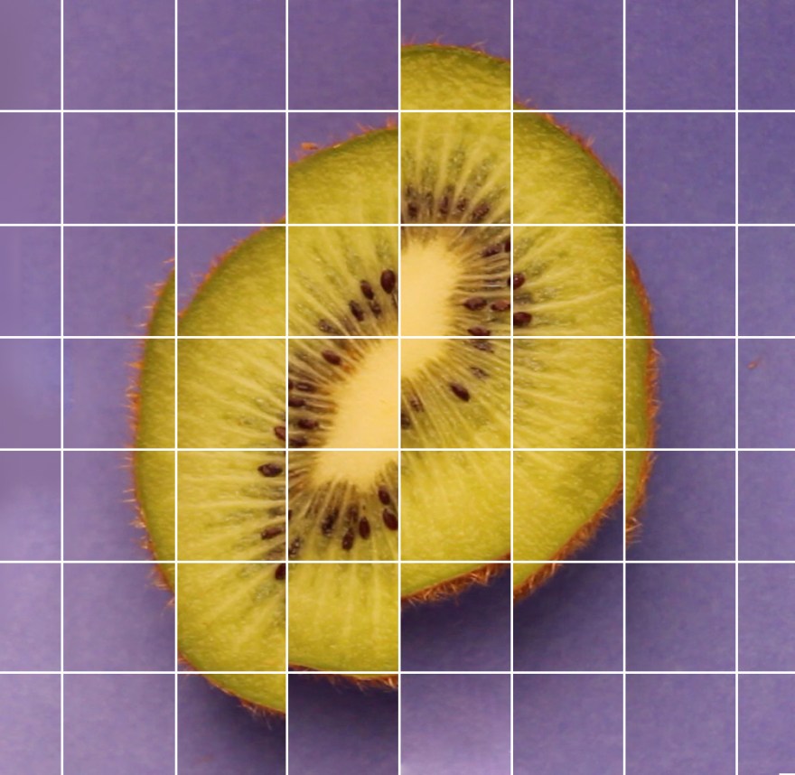 kiwi